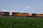 BNSF 8276 Roster